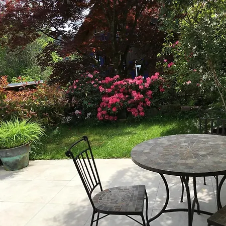 Buntspecht باد ويلباد