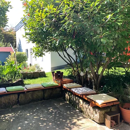 Buntspecht * باد ويلباد