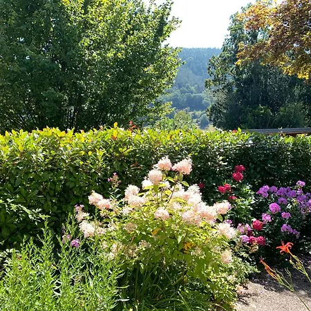 Buntspecht شقة باد ويلباد