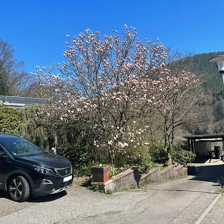 Buntspecht * باد ويلباد